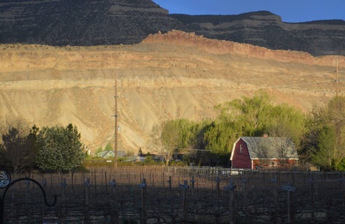 Palisade Cama Y Desayuno | Guest suite at Palisade Beach House Vineyard and Bed and Breakfast