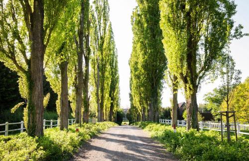 Harmsdorf Casa | Gut Einhaus an der Ostsee - Großzügiges Haus mit Tennisplatz und Pool sowie Garten und Ostseenähe