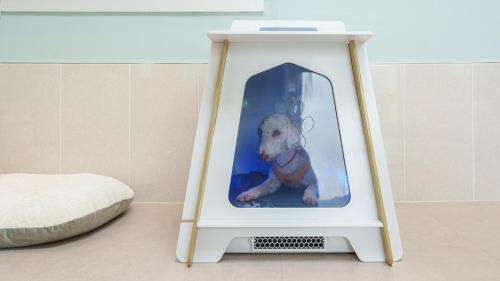 Gyeongsan Casa | gyeongsan stage-ipple pet pension