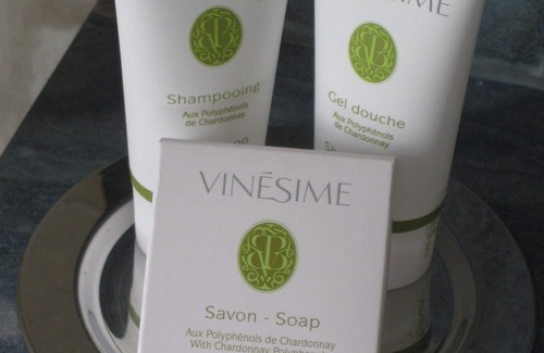 Auxerre Hotel | Hôtel Les Maréchaux