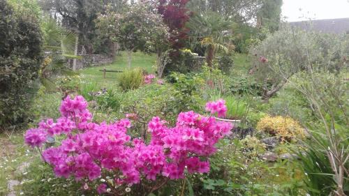 Alos-Sibas-Abense Hotel | Hôtel Restaurant Du PONT D'ABENSE