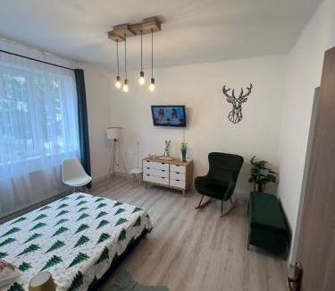 Balan Apartamento | Hășmaș Peak Escape