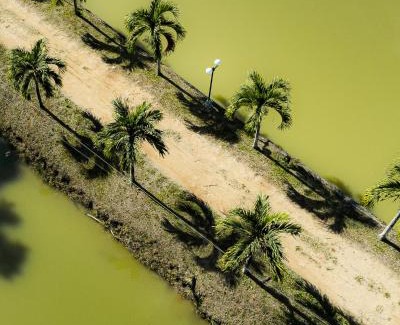 La Banda de Shilcayo Hotel | Hacienda Don Vicente Bungalows-Tarapoto