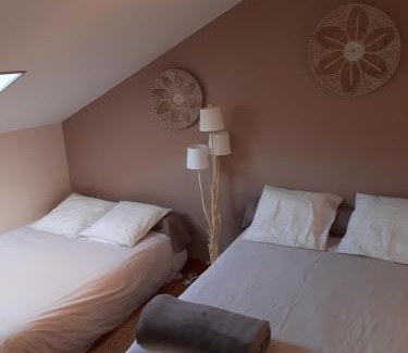 Venterol Cama Y Desayuno | Halte Dodo