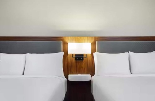 Central Business District Hotel | Hampton Inn & Suites New Orleans Canal St. French Quarter