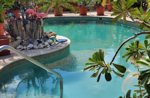 Punto de Oro Complejo | Happy Days, accommodation, Aruba, apartment, cozyfamily and pet friendly