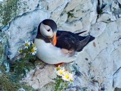 Flamborough Complejo | Happy Days Holidays