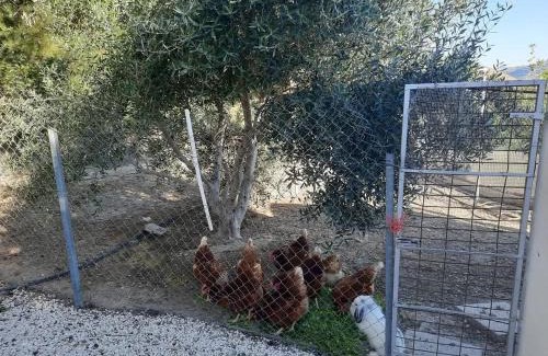 Agios Theodoros Chalet De Esquí | Happy Glamping Cy