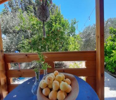 Agios Theodoros Chalet De Esquí | Happy Glamping Cy