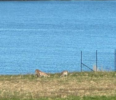 Seawall Casa | Hard Aground - Ocean View - Pet Friendly! SWH