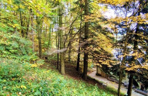 Bad Sooden-Allendorf Apartamento | Haus am Wald Radlerrast