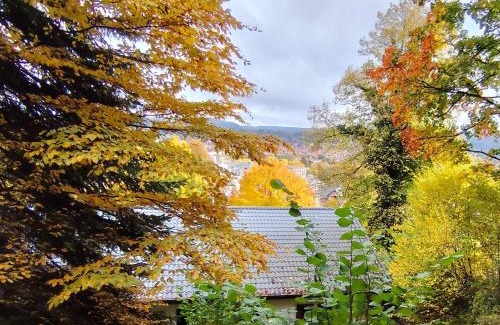 Bad Sooden-Allendorf Apartamento | Haus am Wald Radlerrast
