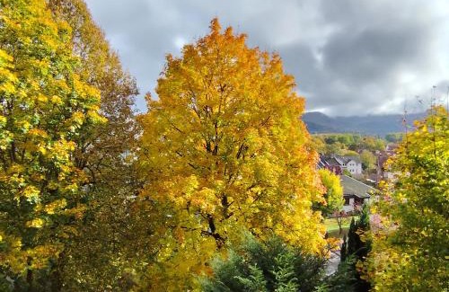 Bad Sooden-Allendorf Apartamento | Haus am Wald Radlerrast