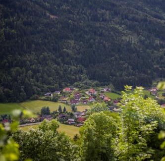 Untertweng Apartamento | Haus Hoen