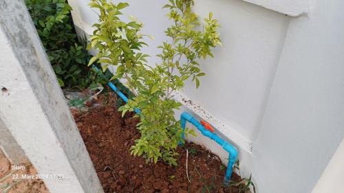 Nang Rong Casa | Haus Jasmin Nangrong