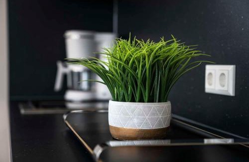 Laasow Alquiler De Eote | Hausboot Albatros - LP4