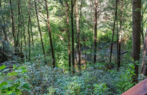 Cherry Log Casa | Hazy Hideaway with View of Ellijay River in the North GA Mountains