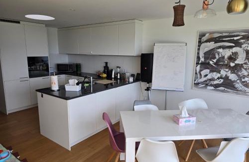 Meilen District Casa | Helles WG Zimmer 1von4 in fantastischer Attikawohnung