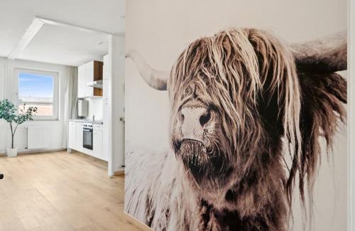 Braunschweig City Center Apartamento | Hellohome - Schlossblick Apartment - Wintergarten