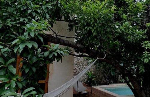 Barrio de Santiago Casa | Hermosa Casa Antigua con Piscina Tropical