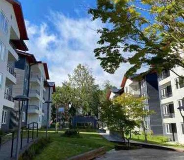 Pucon Apartamento | Hermoso Departamento para disfrutar y descansar
