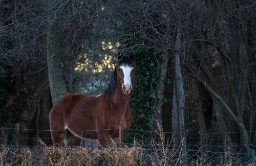 Gariep Casa | Hillmoor Stone Cottage