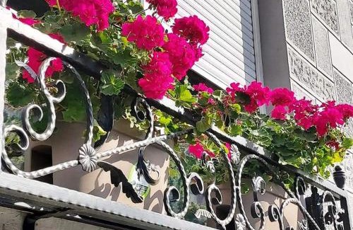 Vrsac Apartamento | HILLS Apartments