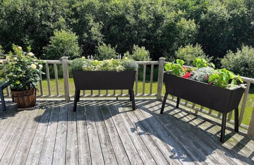 Northport Casa | Hillside House