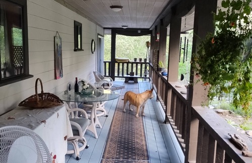 Willow Creek Cabaña | HILLTOP HAVEN 2BR Cottage Serenity for your family & pets Massage/Yoga avail