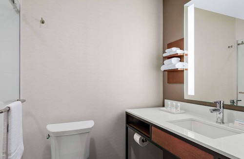 Near South Side Hotel | Hilton Garden Inn Chicago McCormick Place