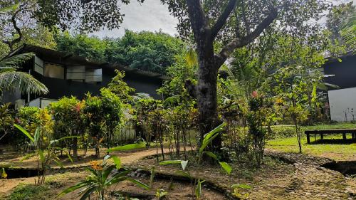 Ranong Hotel | Himmapan Resort