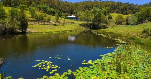 Wilsons Pocket Casa | Hinterland Hideaway Farm Stay
