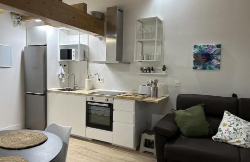 Durango Apartamento | Hiri Zahar Suites 3