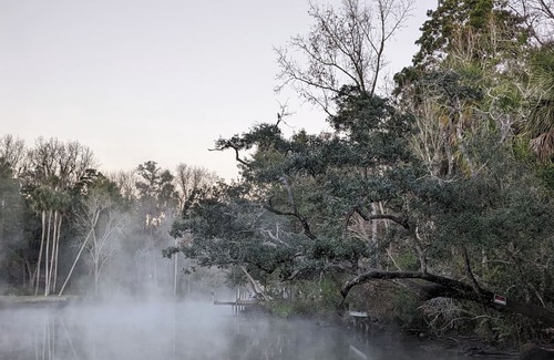 Homosassa Cabaña | Historic Cottage minutes from the Homosassa River, Wildlife Park! Pet-friendly