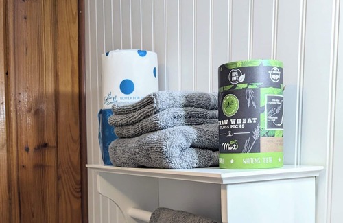 Homosassa Cabaña | Historic Cottage minutes from the Homosassa River, Wildlife Park! Pet-friendly