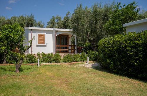 Mattinata Casa | Holiday Apartment orchidea with swimming pool and private beach