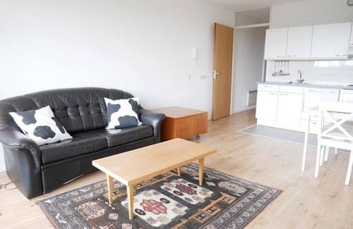 Callantsoog Apartamento | Holiday home Badhotel 335 in Callantsoog. Suitable for 2 people, 1 bedroom.