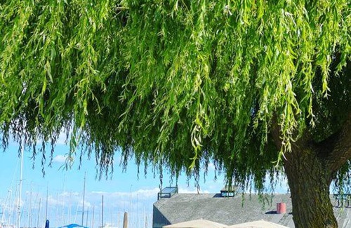 Vedbaek Casa | Holiday house near forrest, harbor and beach