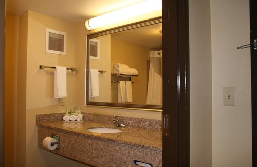 Greenville Hotel | Holiday Inn Express and Suites Greenville by IHG