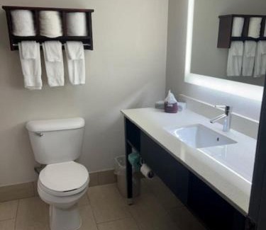 Fort Payne Hotel | Holiday Inn Express Hotel & Suites Fort Payne by IHG