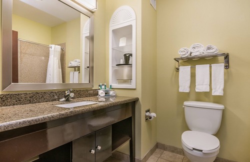 Dumas Hotel | Holiday Inn Express Hotel & Suites Dumas by IHG