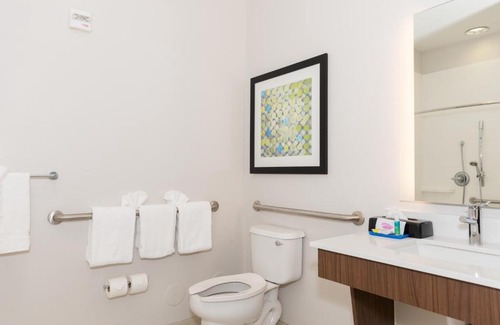 Bearss Plaza Hotel | Holiday Inn Express Hotel & Suites Tampa-USF-Busch Gardens by IHG