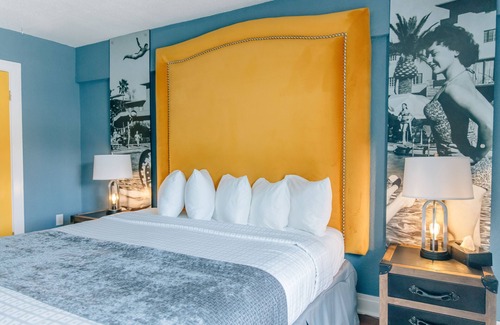 Downtown St. Petersburg Hotel | Hollander Boutique Hotel