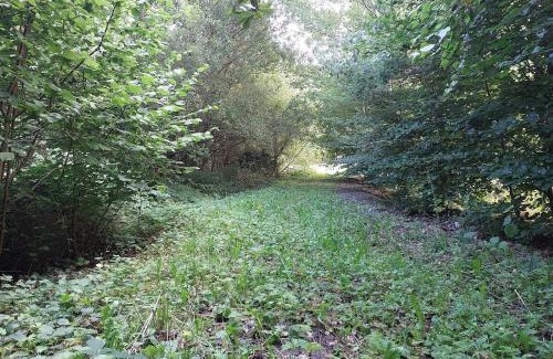 Ennis Casa | Home in Ennis