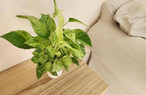 Sattahip Casa | HOMEis garden villa Sattahip