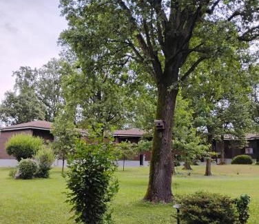 Ispra Apartamento | Homely Ispra