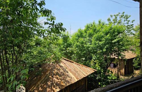 Bat Xat Cabina | homestay y tý đại ngàn - lào cai