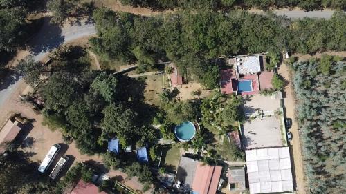 Kota Complejo | Honeybee Resort