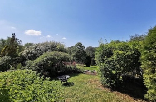 Llanfyrnach Cabaña | Honeysuckle Cottage