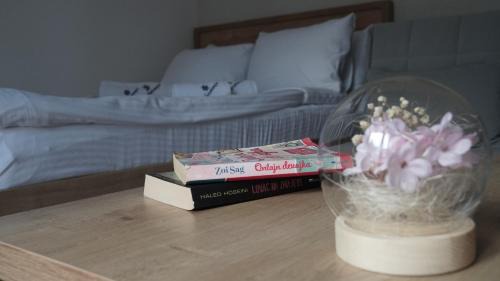 Lisina Apartamento | Hop Kop